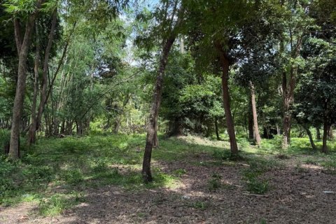 Terrain à Ubon Ratchathani, Thaïlande 35200 m2 № 151957 - photo 5