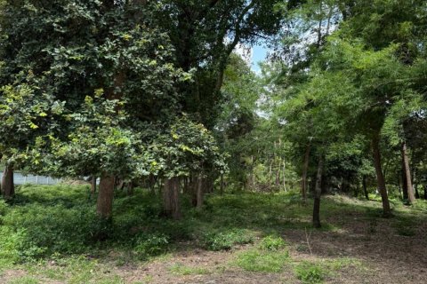 Terrain à Ubon Ratchathani, Thaïlande 35200 m2 № 151957 - photo 14