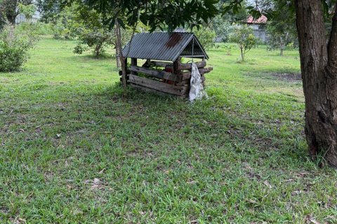 Terrain à Ubon Ratchathani, Thaïlande 35200 m2 № 151957 - photo 8