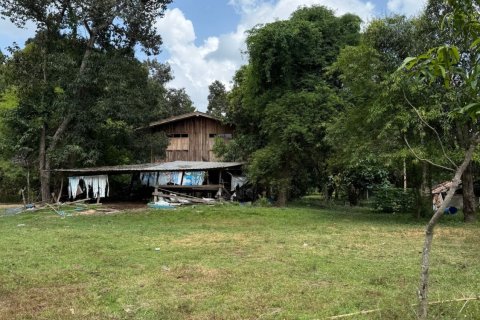 Terrain à Ubon Ratchathani, Thaïlande 35200 m2 № 151957 - photo 10