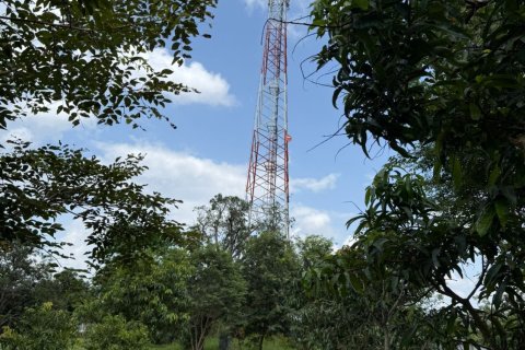 Terrain à Ubon Ratchathani, Thaïlande 35200 m2 № 151957 - photo 11