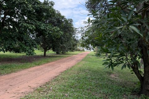 Terrain à Ubon Ratchathani, Thaïlande 35200 m2 № 151957 - photo 4