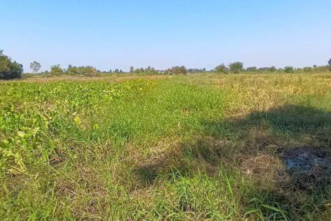 Land in Nakhon Ratchasima, Thailand 8000 sq.m. № 167329 - photo 2