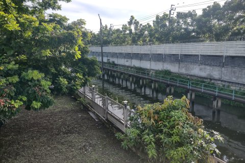 House in Thawi Watthana, Bangkok, Thailand 2 bedrooms № 169297 - photo 11