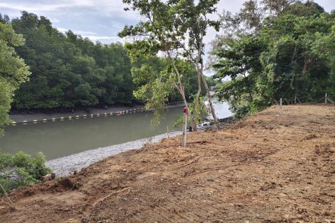 Terrain à Phuket, Thaïlande 1855.6 m2 № 147194 - photo 2