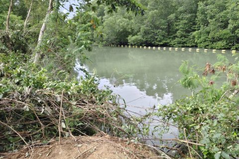 Land in Phuket, Thailand 1855.6 sq.m. № 147194 - photo 3