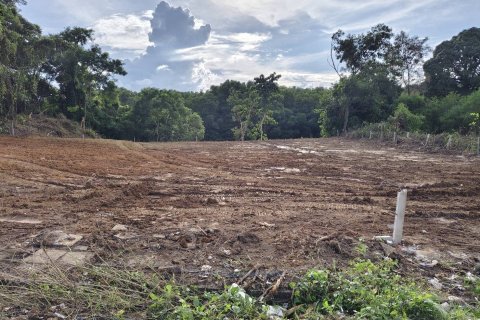 Terrain à Phuket, Thaïlande 1855.6 m2 № 147194 - photo 7