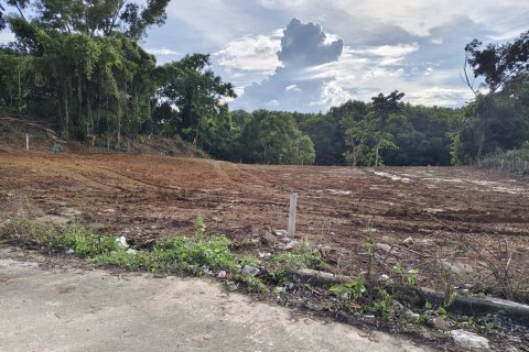 Land in Phuket, Thailand 1855.6 sq.m. № 147194 - photo 5
