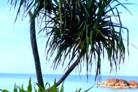 Земельный участок в Пхангнге, Таиланд 608м2  № 152778 - фото 13