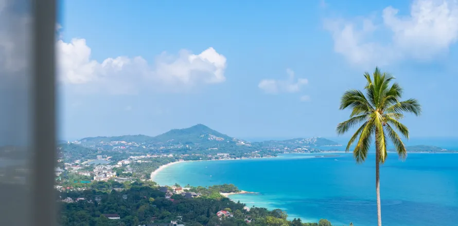 Villa à Ko Samui, Thaïlande 5 chambres № 160207