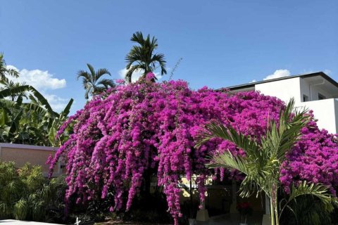 House in Phuket, Thailand 3 bedrooms № 159374 - photo 10