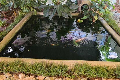 House in Phuket, Thailand 3 bedrooms № 159374 - photo 5