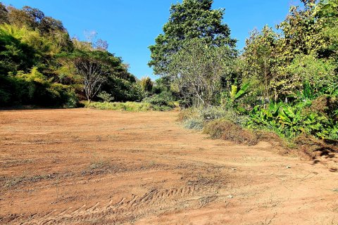 Земельный участок в Ханг Донге, Таиланд 17600м2  № 140595 - фото 4