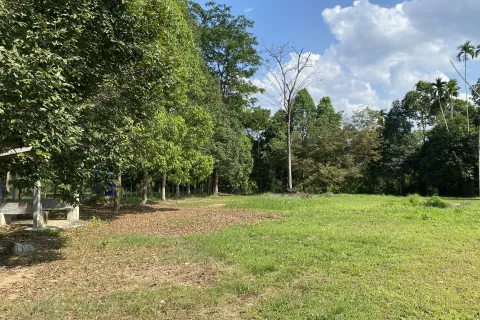 Terrain à Phang Nga, Thaïlande 2550 m2 № 150187 - photo 3