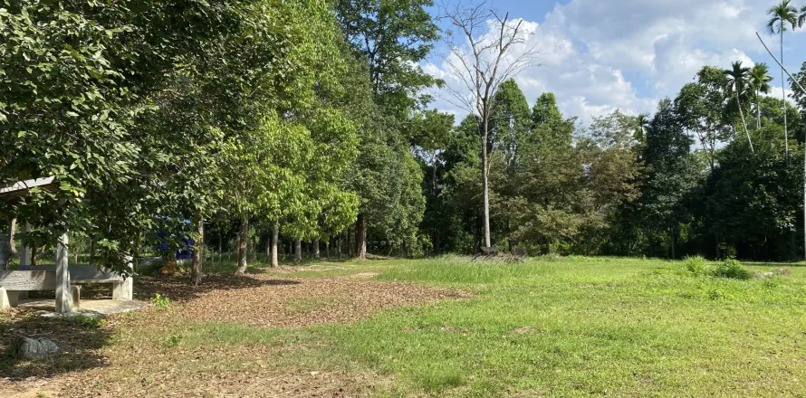 Terrain à Phang Nga, Thaïlande 2550 m2 № 150187