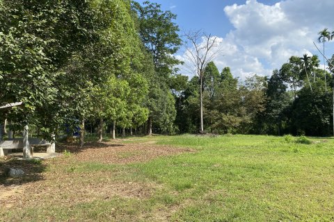 Terrain à Phang Nga, Thaïlande 2550 m2 № 150187 - photo 5