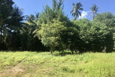 Land in Ko Samui, Thailand 1400 sq.m. № 151247 - photo 7