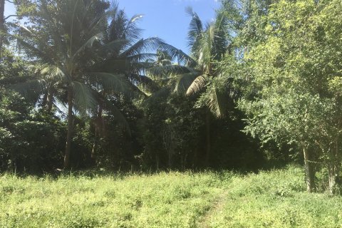 Land in Ko Samui, Thailand 1400 sq.m. № 151247 - photo 5