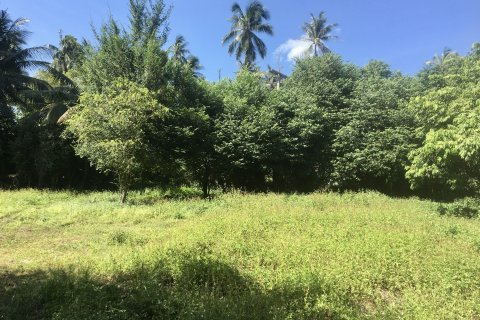 Land in Ko Samui, Thailand 1400 sq.m. № 151247 - photo 2
