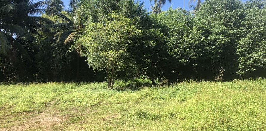 Land in Ko Samui, Thailand 1400 sq.m. № 151247
