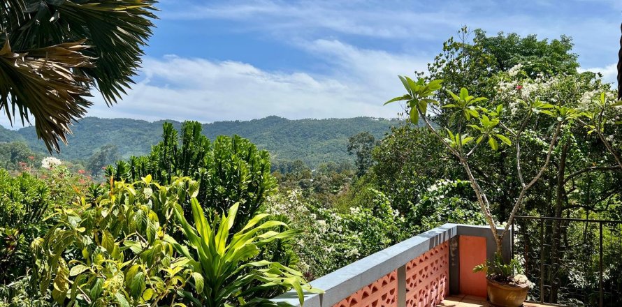 Studio à Ko Samui, Thaïlande № 172488