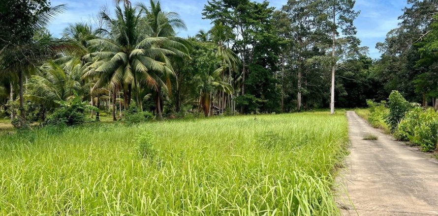 Studio à Ko Samui, Thaïlande № 172489