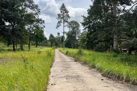 Studio à Ko Samui, Thaïlande № 172489 - photo 3