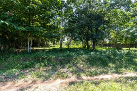 Land in Phuket, Thailand 2000 sq.m. № 147800 - photo 7