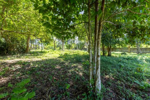 Land in Phuket, Thailand 2000 sq.m. № 147800 - photo 4