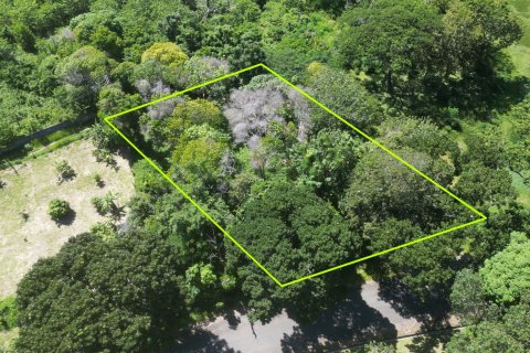 Land in Phuket, Thailand 2000 sq.m. № 147800 - photo 8