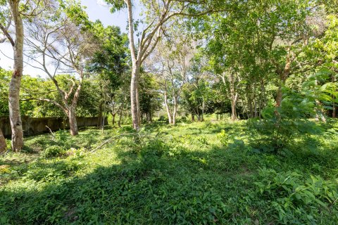 Land in Phuket, Thailand 2000 sq.m. № 147800 - photo 5