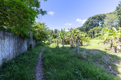 Land in Phuket, Thailand 2000 sq.m. № 147800 - photo 3