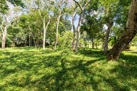 Land in Phuket, Thailand 2000 sq.m. № 147800 - photo 6