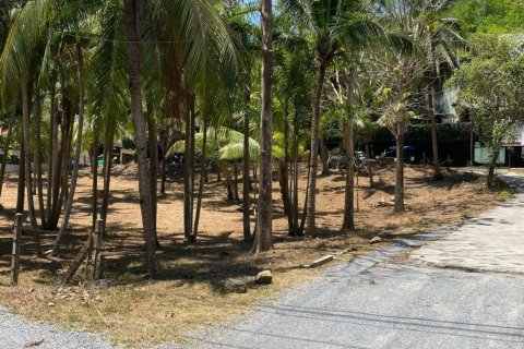 Земельный участок в Пхукете, Таиланд 1600м2  № 170683 - фото 3