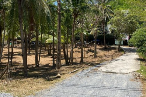 Земельный участок в Пхукете, Таиланд 1600м2  № 170683 - фото 4