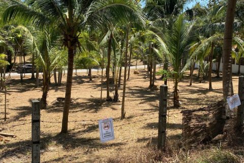 Земельный участок в Пхукете, Таиланд 1600м2  № 170683 - фото 6