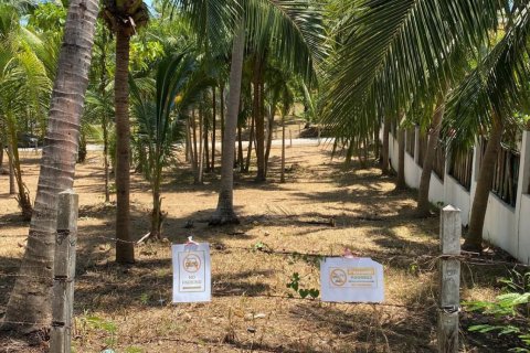 Земельный участок в Пхукете, Таиланд 1600м2  № 170683 - фото 8