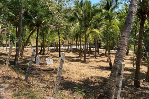 Земельный участок в Пхукете, Таиланд 1600м2  № 170683 - фото 9