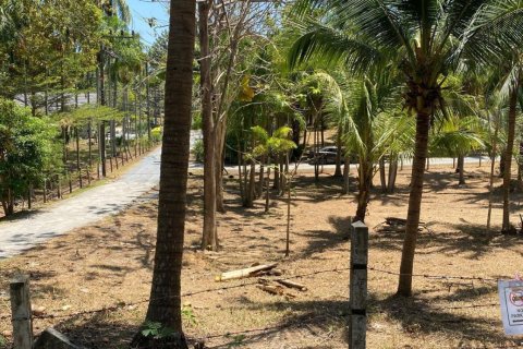 Земельный участок в Пхукете, Таиланд 1600м2  № 170683 - фото 5