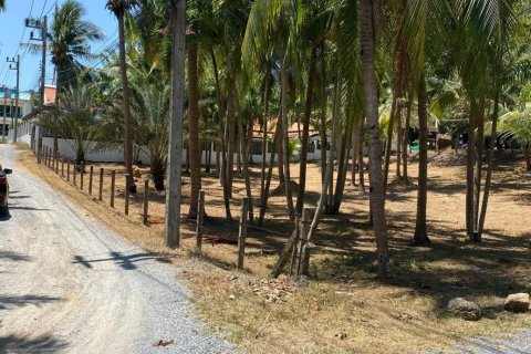 Земельный участок в Пхукете, Таиланд 1600м2  № 170683 - фото 2