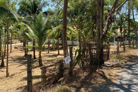 Земельный участок в Пхукете, Таиланд 1600м2  № 170683 - фото 7