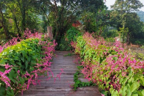 Maison à Pak Chong, Thaïlande 6 chambres № 161684 - photo 7