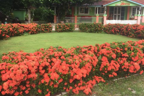 Дом в Каенг Хое, Таиланд с 8 спальнями  № 141241 - фото 2