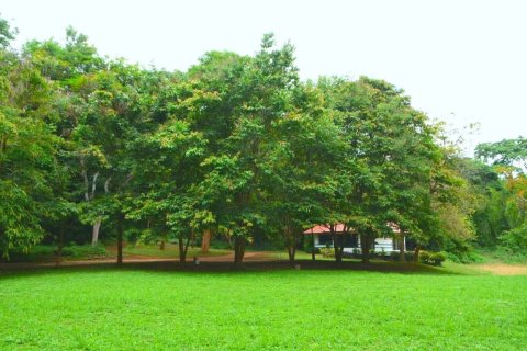 House in Chiang Mai, Thailand 2 bedrooms № 171645 - photo 28