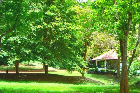 House in Chiang Mai, Thailand 2 bedrooms № 171645 - photo 29