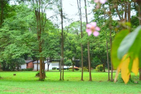 House in Chiang Mai, Thailand 2 bedrooms № 171645 - photo 27