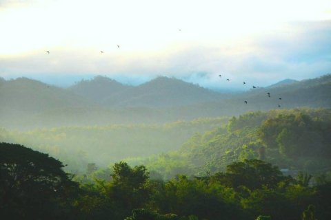 House in Chiang Mai, Thailand 2 bedrooms № 171645 - photo 25