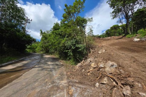 Terrain à Ko Samui, Thaïlande 12028 m2 № 159209 - photo 10