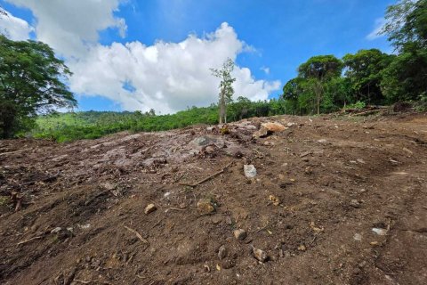 Terrain à Ko Samui, Thaïlande 12028 m2 № 159209 - photo 8