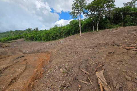 Terrain à Ko Samui, Thaïlande 12028 m2 № 159209 - photo 4